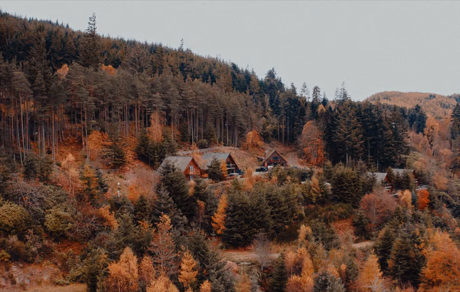 Aerial view of timber lodges on a forested hillside near Loch Ness in autumn