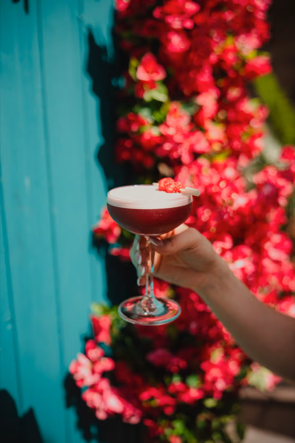Raising a raspberry cocktail by the turquoise door and bougainvillea at Rose Street Garden, Edinburgh